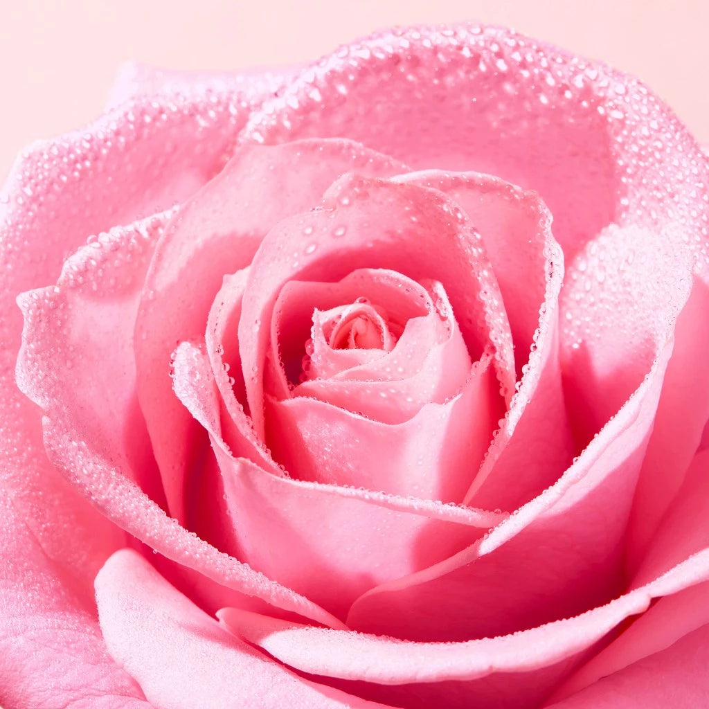 NUXE Very Rose Delicious Cleansing Foam 150ml