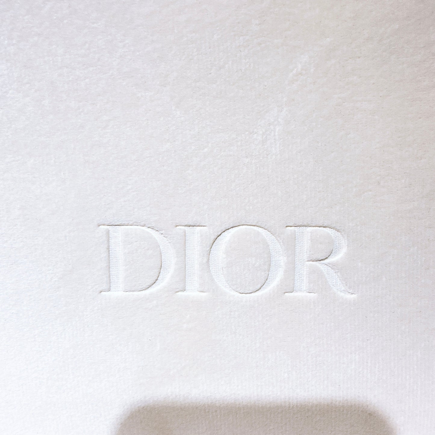 DIOR Beauty Makeup Pouch