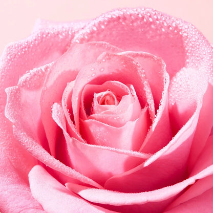 NUXE Very Rose Delicious Cleansing Foam 150ml