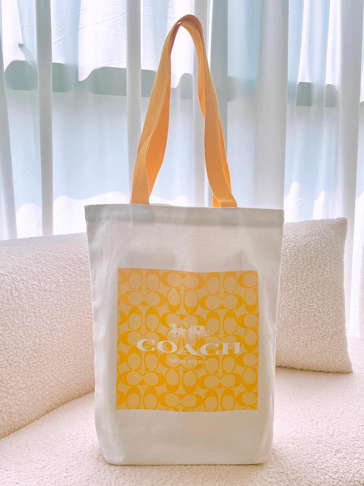 Coach Classic C Logo Printed Canvas Tote