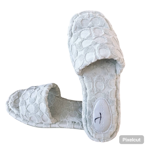 Coach Bridgett Terry blue slippers 💕