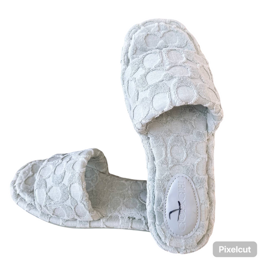 Coach Bridgett Terry blue slippers 💕