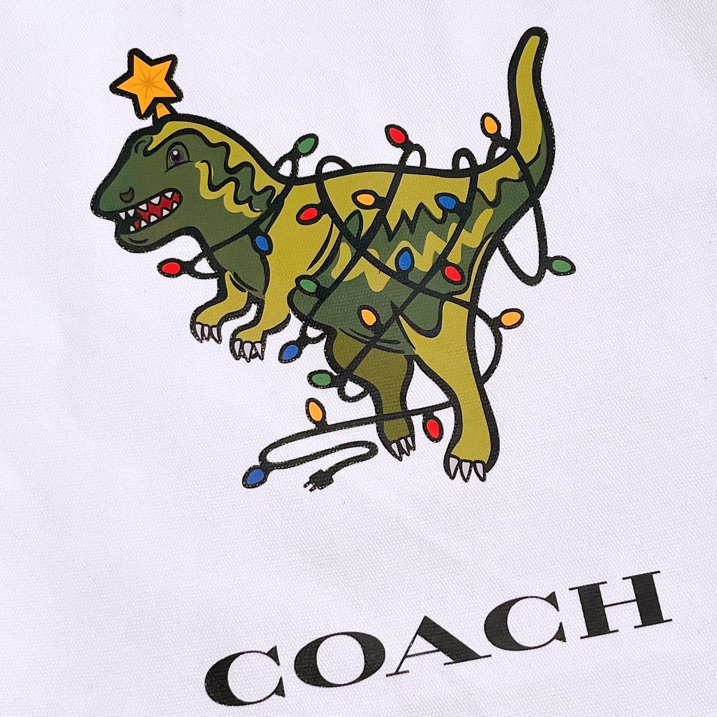 Coach Rexy Canvas Tote
