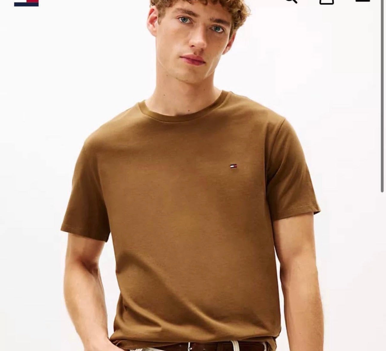 Tommy Hilfiger Cotton Short Sleeves Round Neck T-shirt Dk Brown