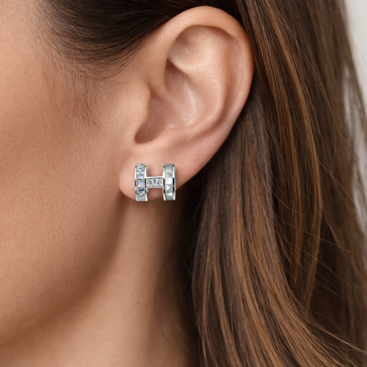 H-shaped design earrings