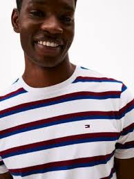 Tommy Hilfiger Stripe Everday T Shirt