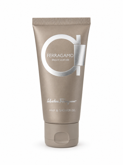 Salvatore Ferragamo Bright Leather Mini Kit